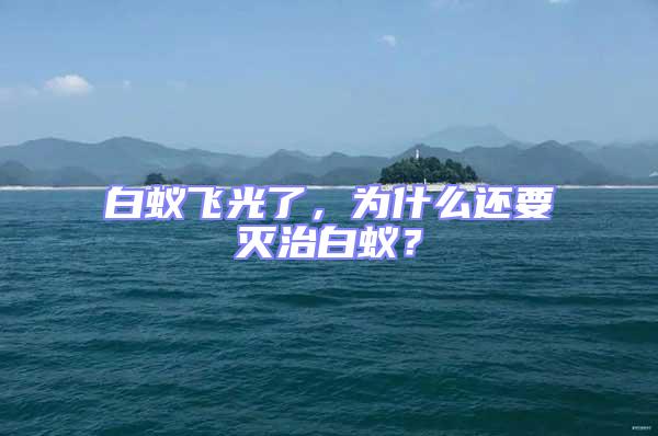 白蟻飛光了，為什么還要滅治白蟻？