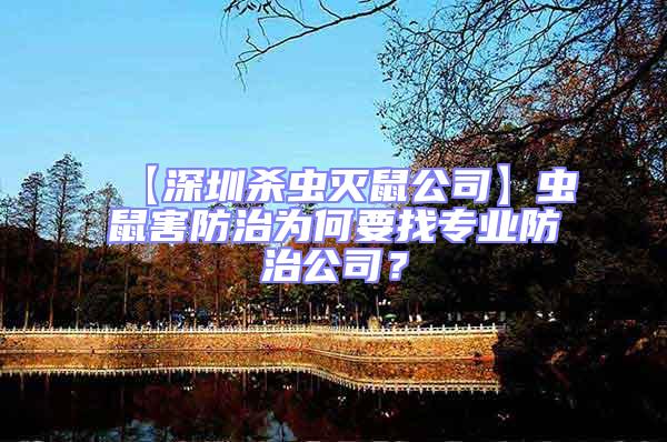 【深圳殺蟲滅鼠公司】蟲鼠害防治為何要找專業防治公司?