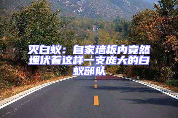 滅白蟻：自家墻板內竟然埋伏著這樣一支龐大的白蟻部隊