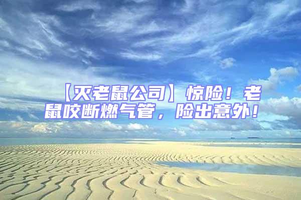 【滅老鼠公司】驚險！老鼠咬斷燃氣管，險出意外！