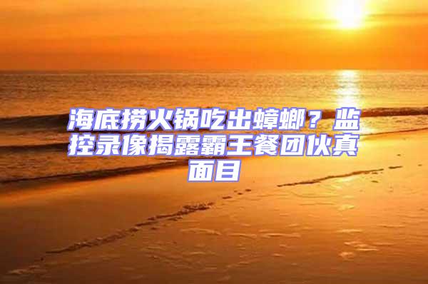 海底撈火鍋吃出蟑螂?監控錄像揭露霸王餐團伙真面目