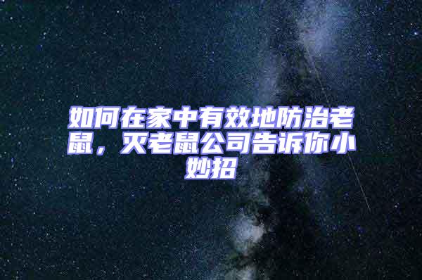 如何在家中有效地防治老鼠，滅老鼠公司告訴你小妙招