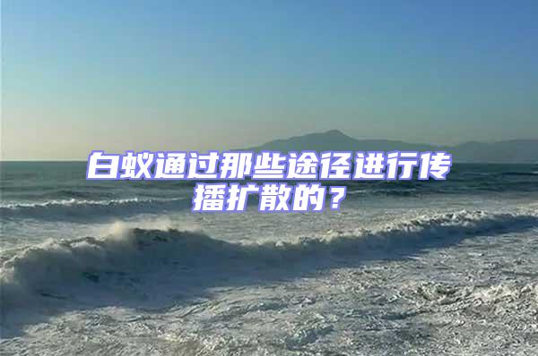 白蟻通過那些途徑進(jìn)行傳播擴(kuò)散的?