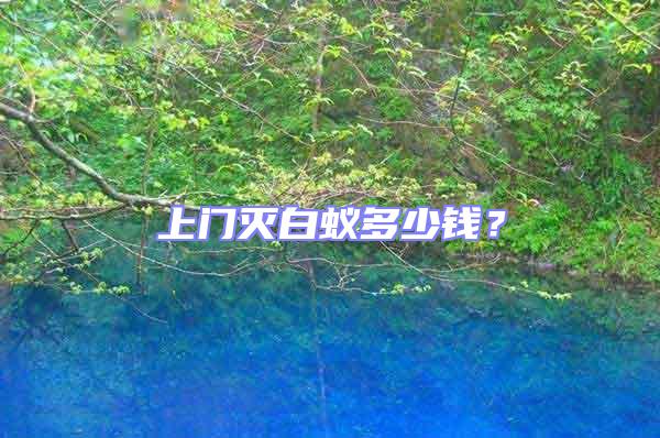 上門滅白蟻多少錢？