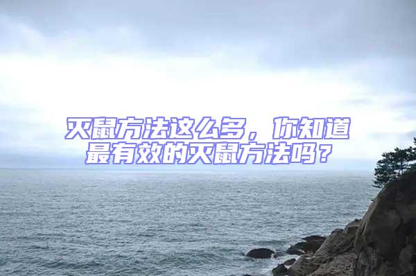 滅鼠方法這么多，你知道最有效的滅鼠方法嗎？