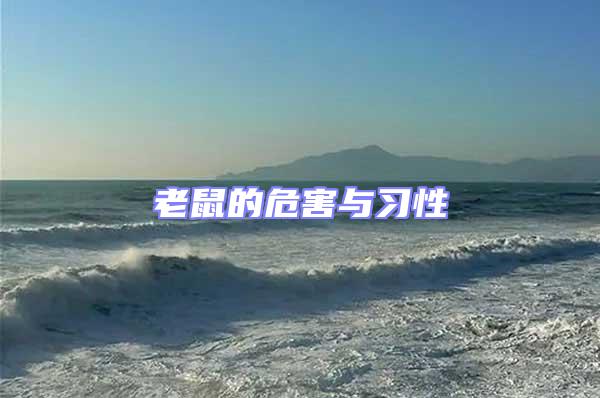 老鼠的危害與習性