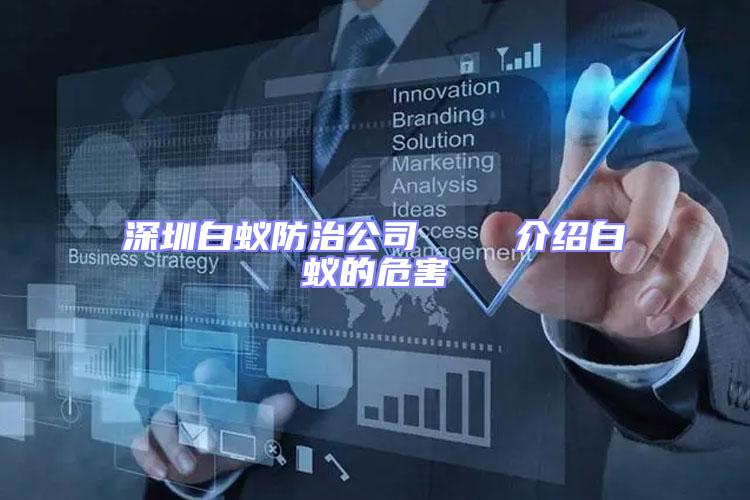 深圳白蟻防治公司 介紹白蟻的危害