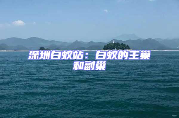 深圳白蟻站:白蟻的主巢和副巢