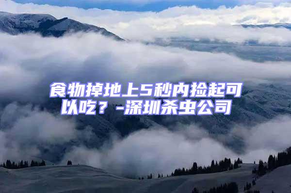 食物掉地上5秒內撿起可以吃?-深圳殺蟲公司