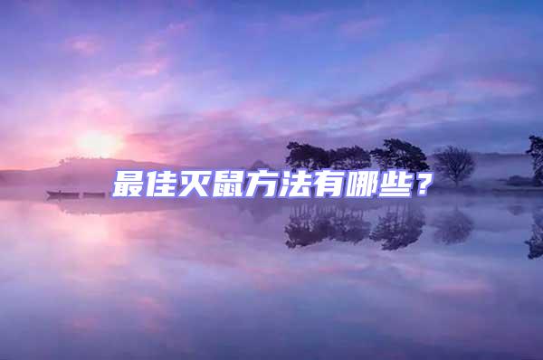 最佳滅鼠方法有哪些?