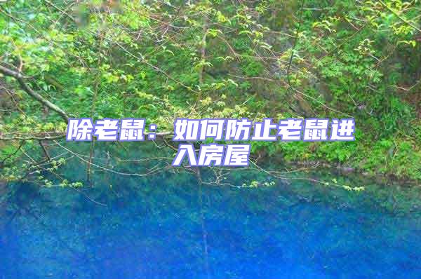 除老鼠:如何防止老鼠進入房屋