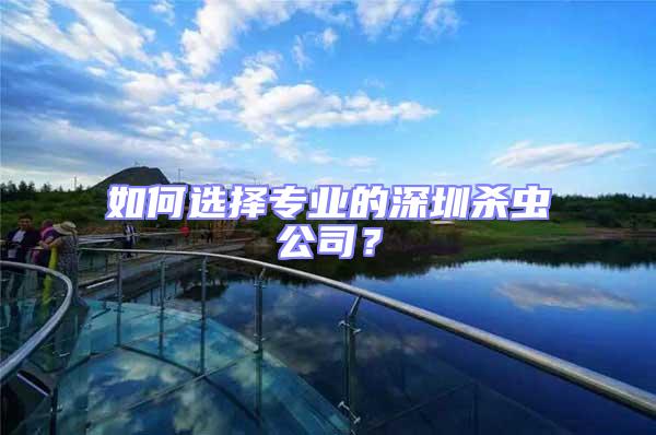 如何選擇專業的深圳殺蟲公司？