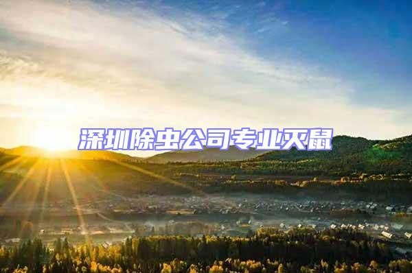 深圳除蟲公司專業滅鼠