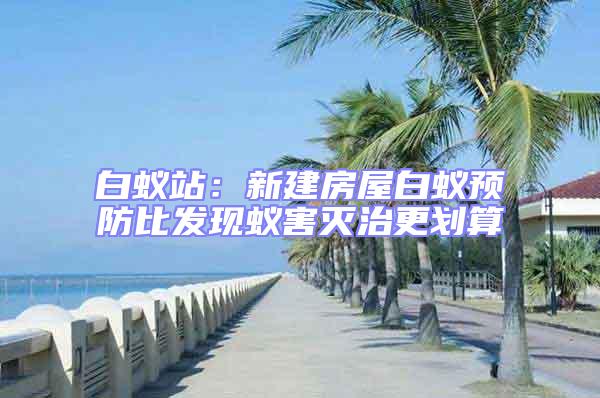 白蟻站:新建房屋白蟻預(yù)防比發(fā)現(xiàn)蟻害滅治更劃算