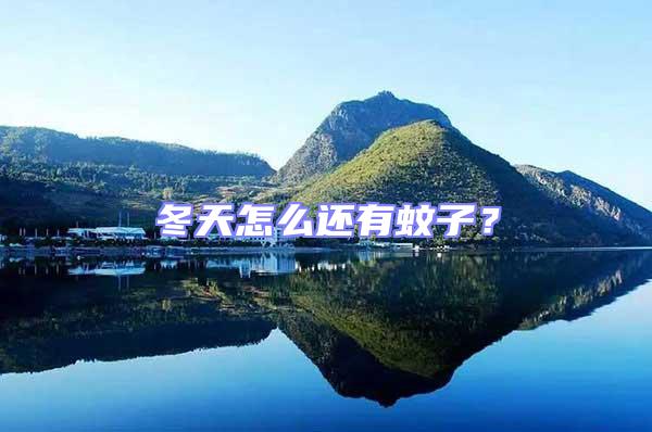 冬天怎么還有蚊子?