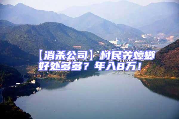 【消殺公司】村民養(yǎng)蟑螂好處多多?年入8萬!