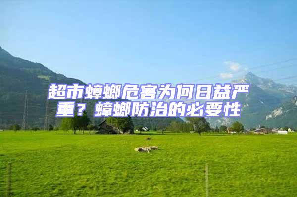 超市蟑螂危害為何日益嚴(yán)重？蟑螂防治的必要性