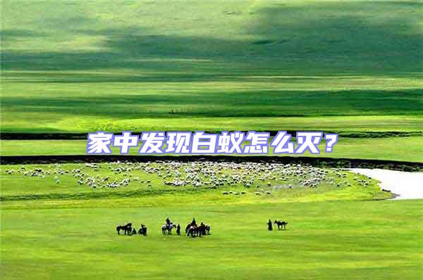 家中發(fā)現(xiàn)白蟻怎么滅?