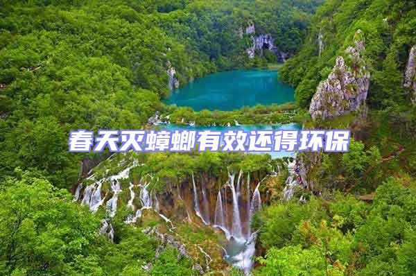 春天滅蟑螂有效還得環(huán)保