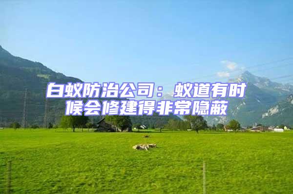 白蟻防治公司:蟻道有時候會修建得非常隱蔽