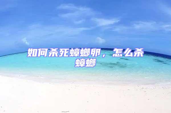 如何殺死蟑螂卵，怎么殺蟑螂