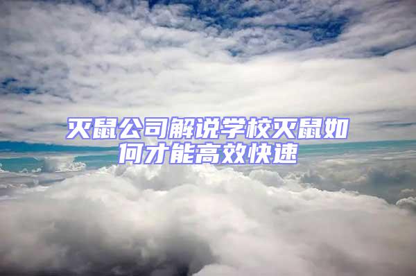 滅鼠公司解說學(xué)校滅鼠如何才能高效快速