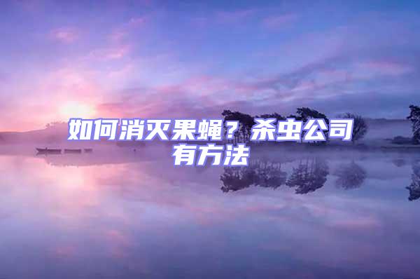 如何消滅果蠅？殺蟲公司有方法