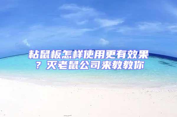 粘鼠板怎樣使用更有效果?滅老鼠公司來教教你