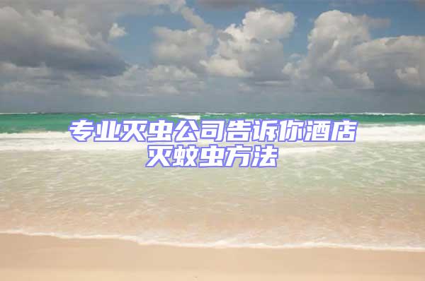 專業滅蟲公司告訴你酒店滅蚊蟲方法