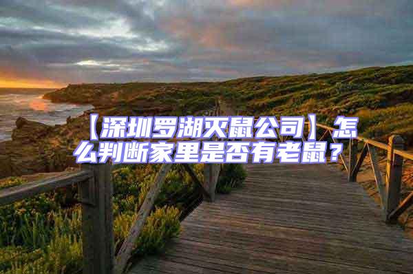 【深圳羅湖滅鼠公司】怎么判斷家里是否有老鼠？