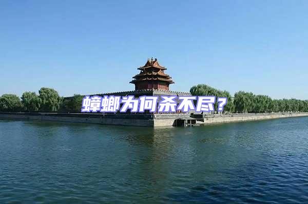 蟑螂為何殺不盡？