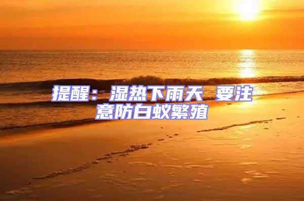 提醒:濕熱下雨天 要注意防白蟻繁殖