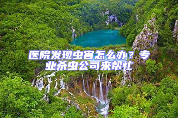 醫(yī)院發(fā)現(xiàn)蟲害怎么辦?專業(yè)殺蟲公司來(lái)幫忙