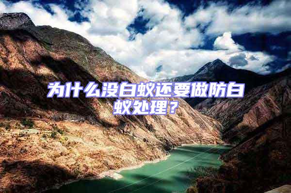 為什么沒(méi)白蟻還要做防白蟻處理？