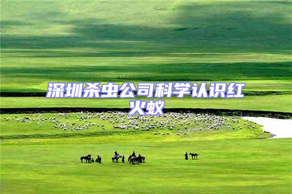 深圳殺蟲公司科學(xué)認(rèn)識紅火蟻