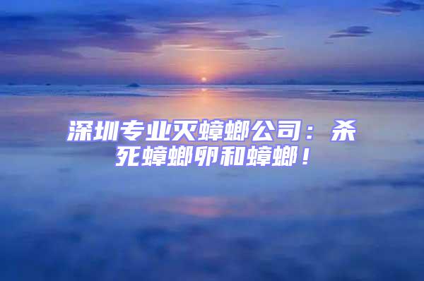 深圳專業滅蟑螂公司:殺死蟑螂卵和蟑螂!