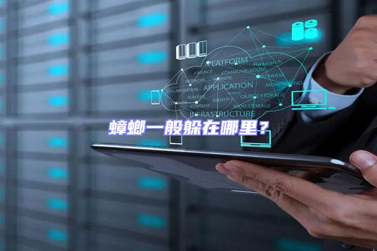 蟑螂一般躲在哪里？