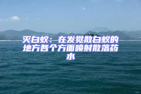 滅白蟻:在發(fā)覺(jué)散白蟻的地方各個(gè)方面噴射散落藥水