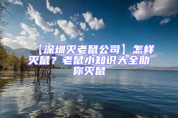 【深圳滅老鼠公司】怎樣滅鼠？老鼠小知識大全助你滅鼠