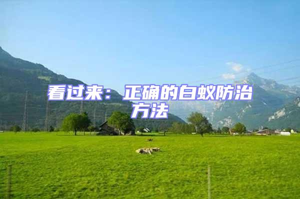 看過(guò)來(lái):正確的白蟻防治方法