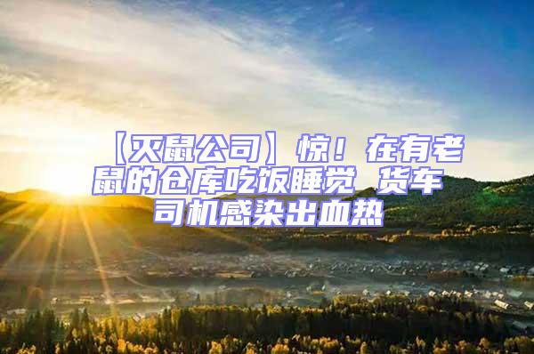 【滅鼠公司】驚！在有老鼠的倉庫吃飯睡覺 貨車司機感染出血熱