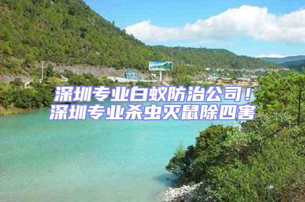 深圳專業白蟻防治公司！深圳專業殺蟲滅鼠除四害