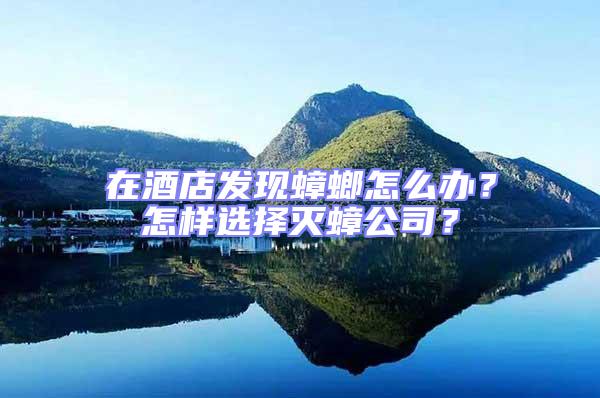 在酒店發現蟑螂怎么辦？怎樣選擇滅蟑公司？
