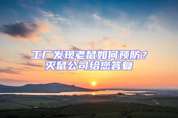 工廠發現老鼠如何預防？滅鼠公司給您答復