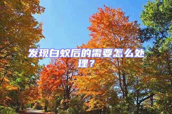 發現白蟻后的需要怎么處理？