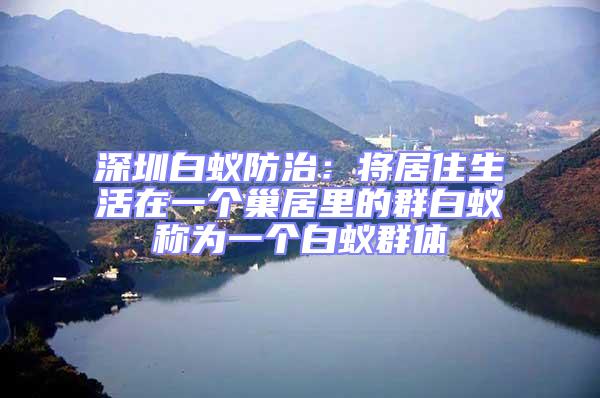 深圳白蟻防治：將居住生活在一個(gè)巢居里的群白蟻稱(chēng)為一個(gè)白蟻群體