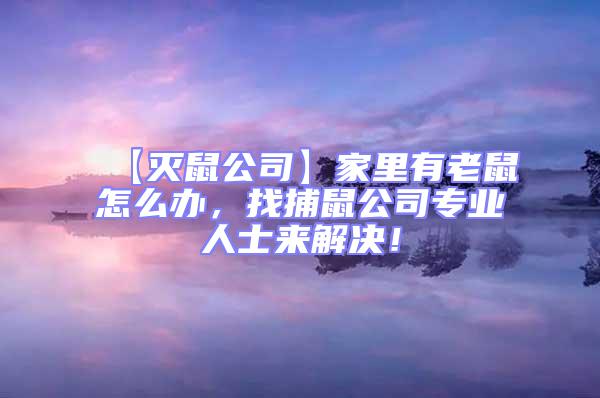 【滅鼠公司】家里有老鼠怎么辦，找捕鼠公司專業(yè)人士來(lái)解決！