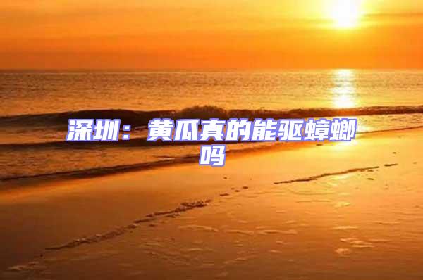 深圳：黃瓜真的能驅蟑螂嗎