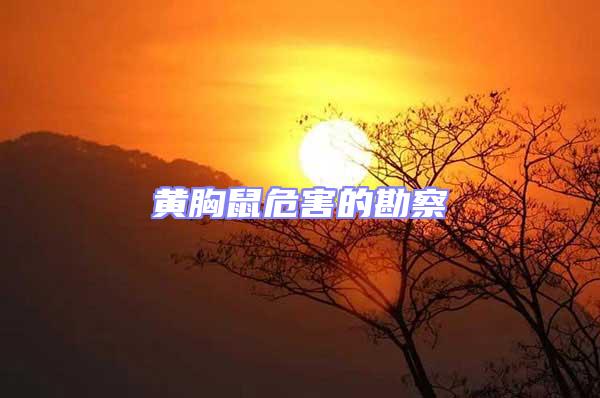 黃胸鼠危害的勘察