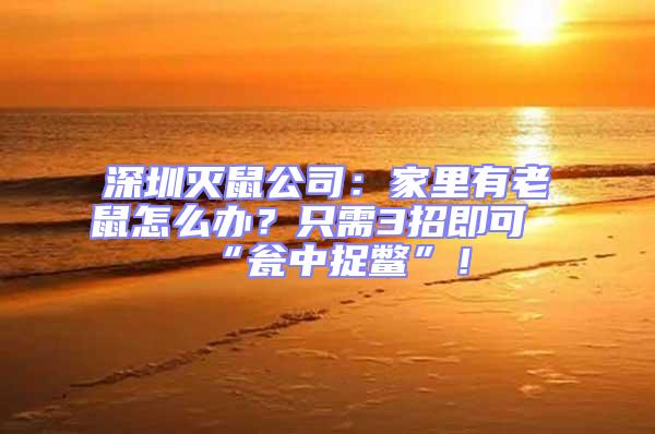 深圳滅鼠公司：家里有老鼠怎么辦？只需3招即可“甕中捉鱉”！